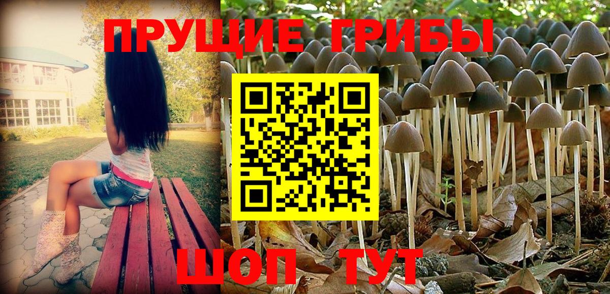 Новосибирск  купить наркотики цена  Вход с VPN  Галлюциногенные грибы GOLDEN TEACHER 